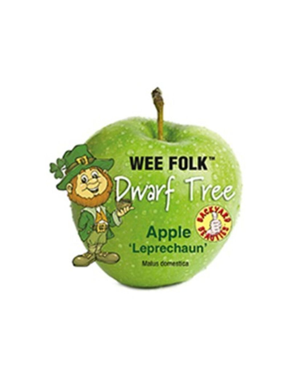 APPLE DWARF LEPRECHAUN (25LT)