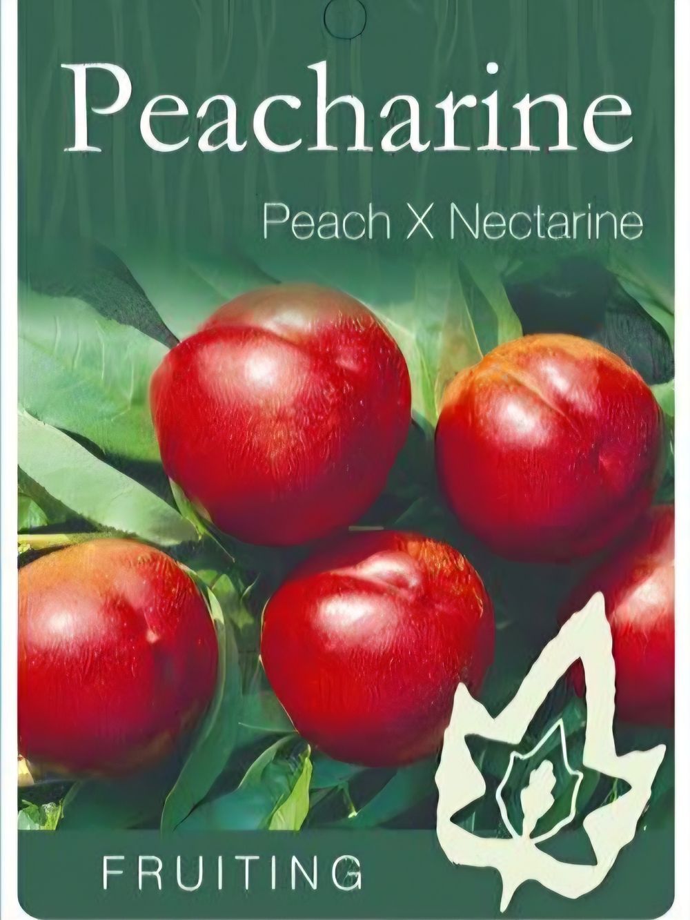 Peacharine Peacharine (25lt)