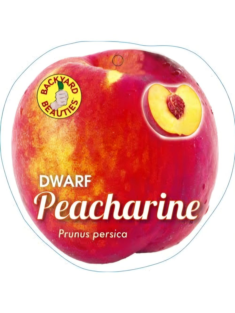 Peacharine Dwarf (4lt)